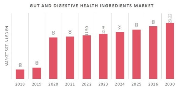 Global Gut and Digestive Health Ingredients Market Overview