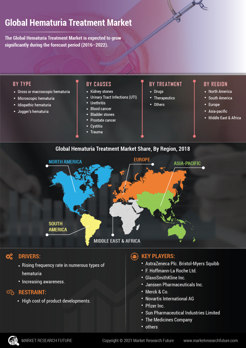 Hematuria Treatment Market