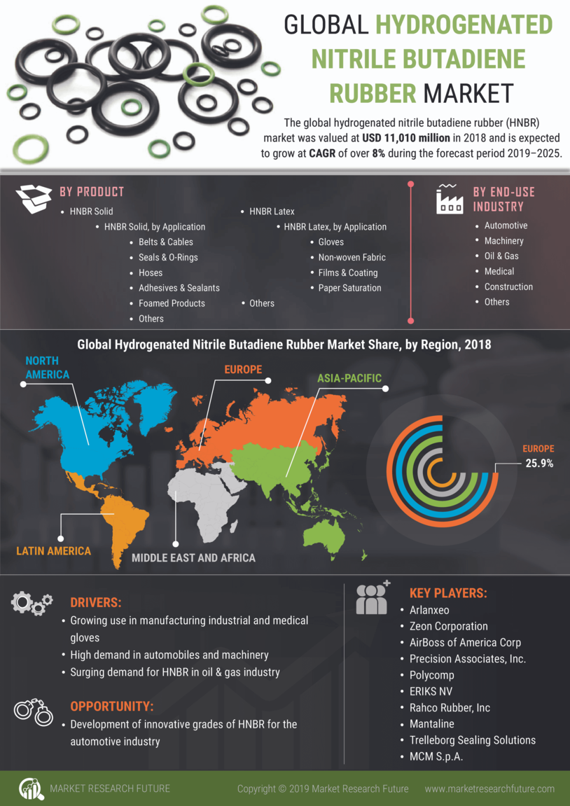 Hydrogenated Nitrile Butadiene Rubber Market