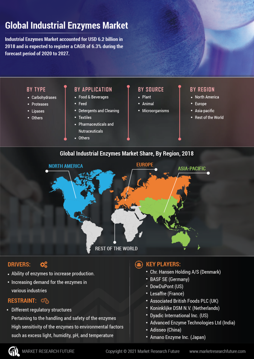 Industrial Enzymes Market