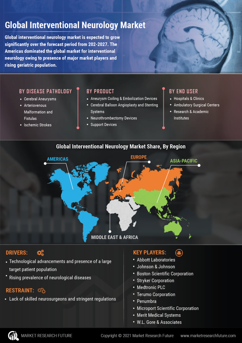 Interventional Neurology Market 