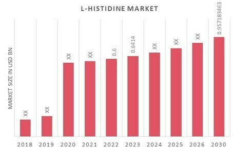 Global L-Histidine Market Overview