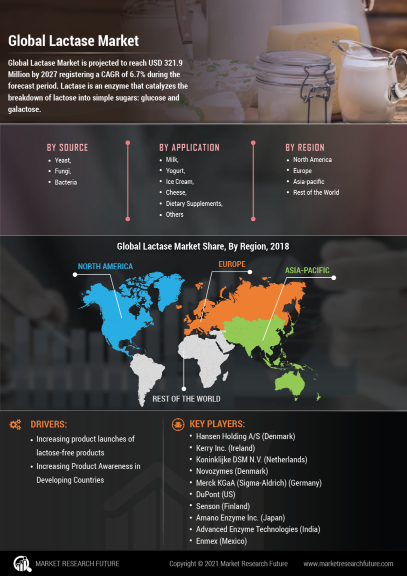 Lactase Market