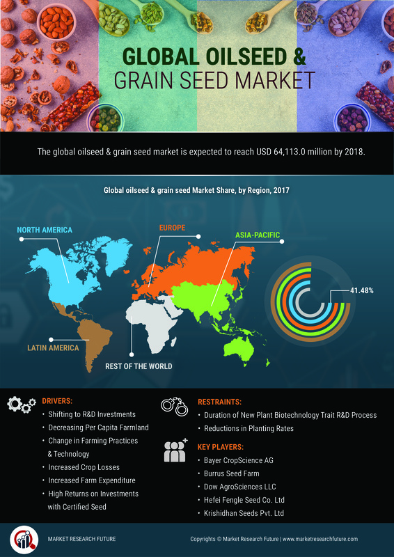 Oilseed & Grain Seed Market Research Report - Forecast to 2021 Infographic