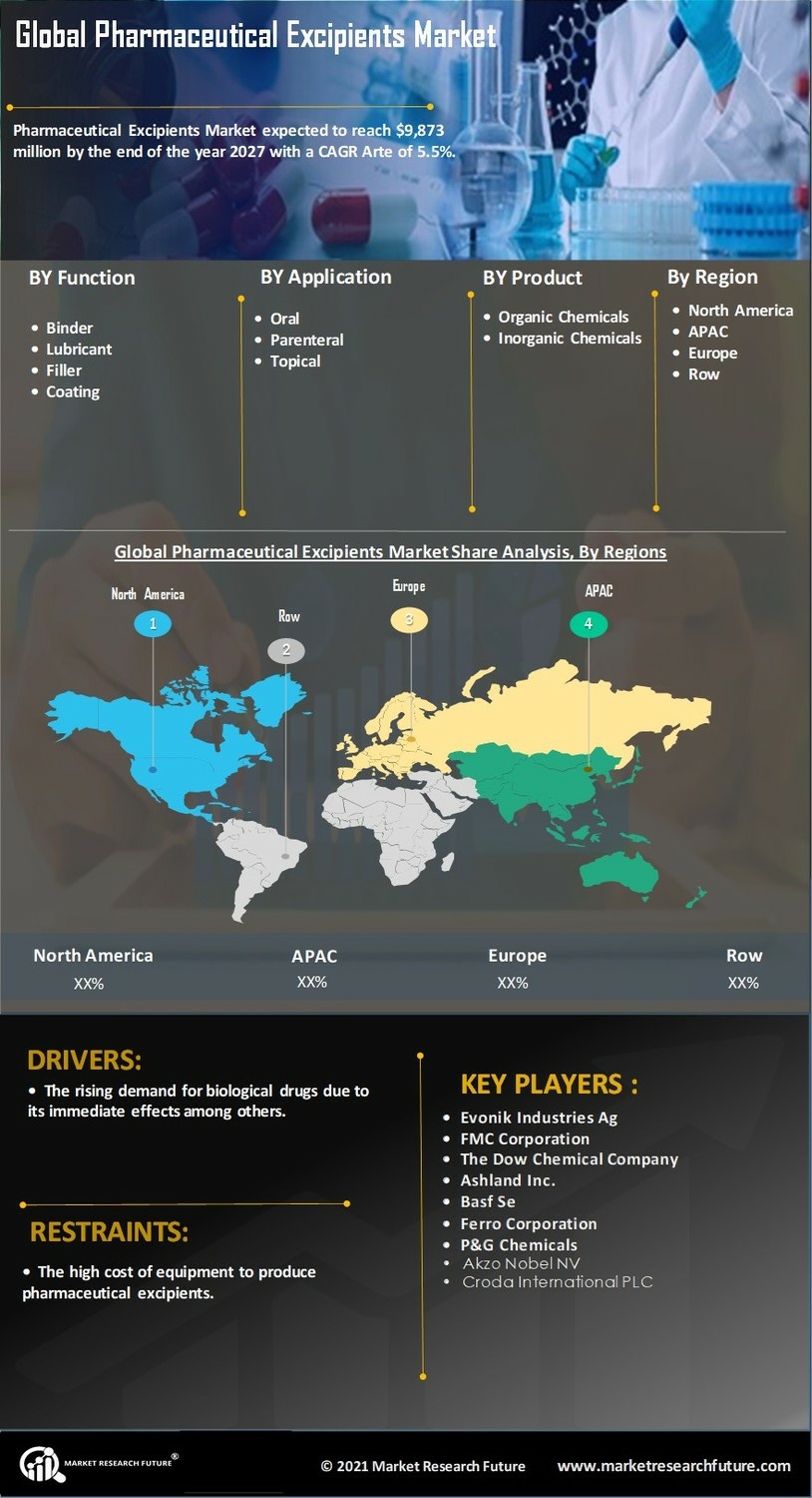 Pharmaceutical Excipients Market