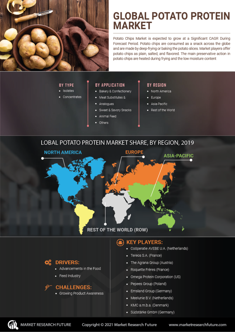 Potato protein market