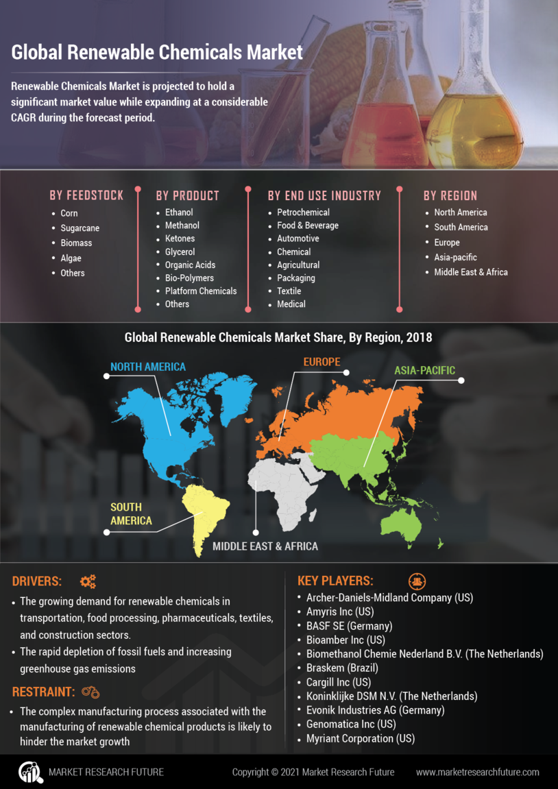 Renewable Chemicals Market