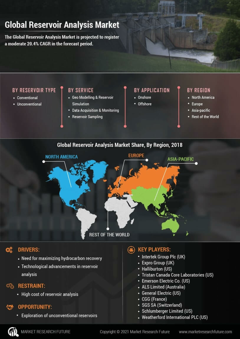 Reservoir Analysis Market