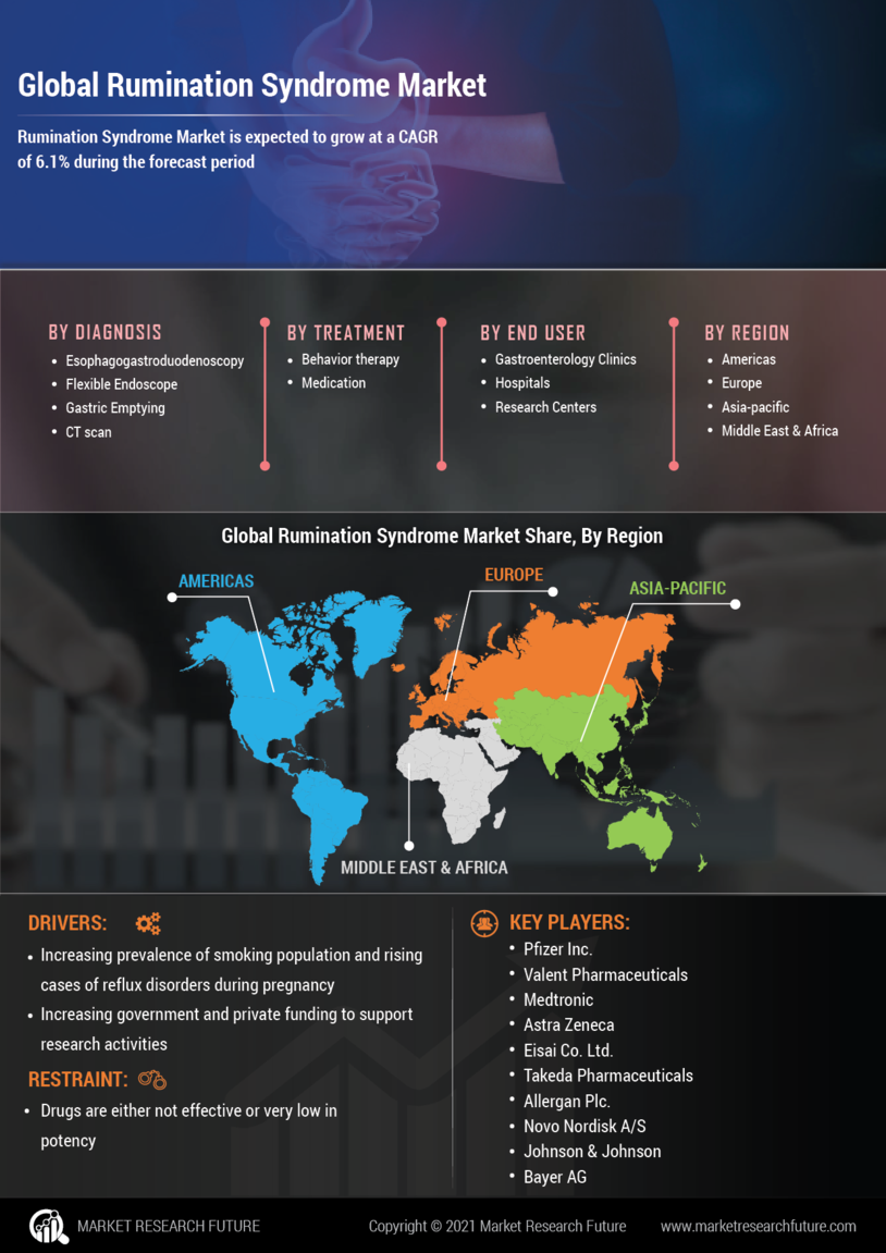 Rumination Syndrome Market