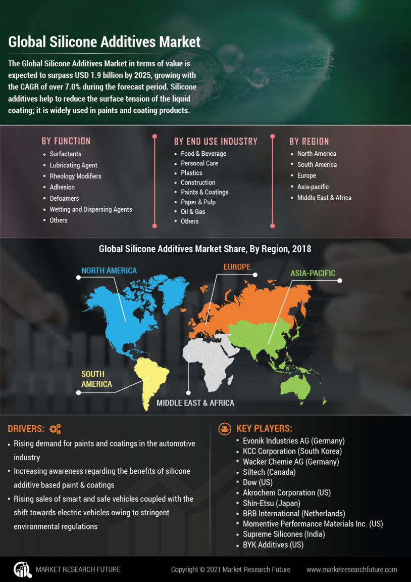 Silicone Additives Market