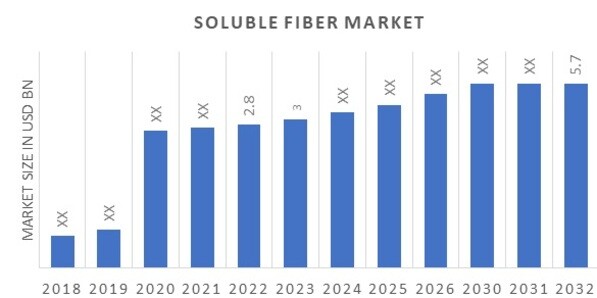 Global Soluble Fiber Market Overview