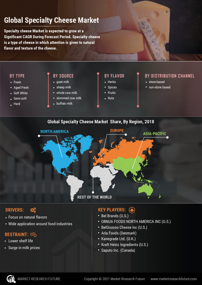 Specialty Cheese Market