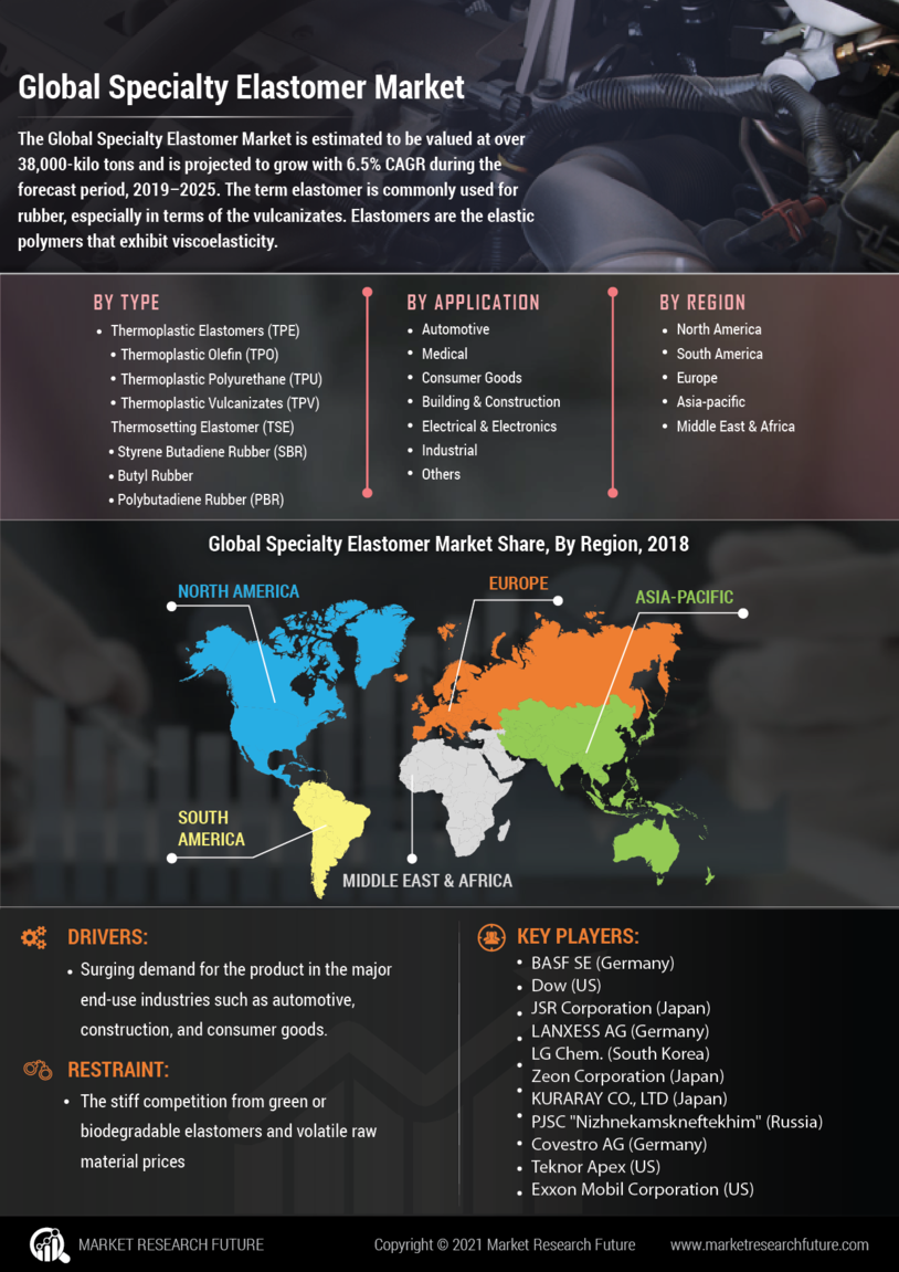 Specialty Elastomers Market