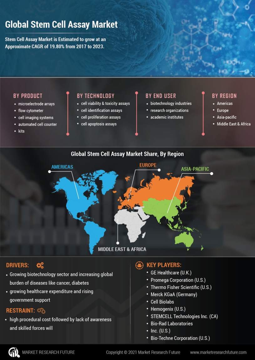 Stem Cell Assay Market