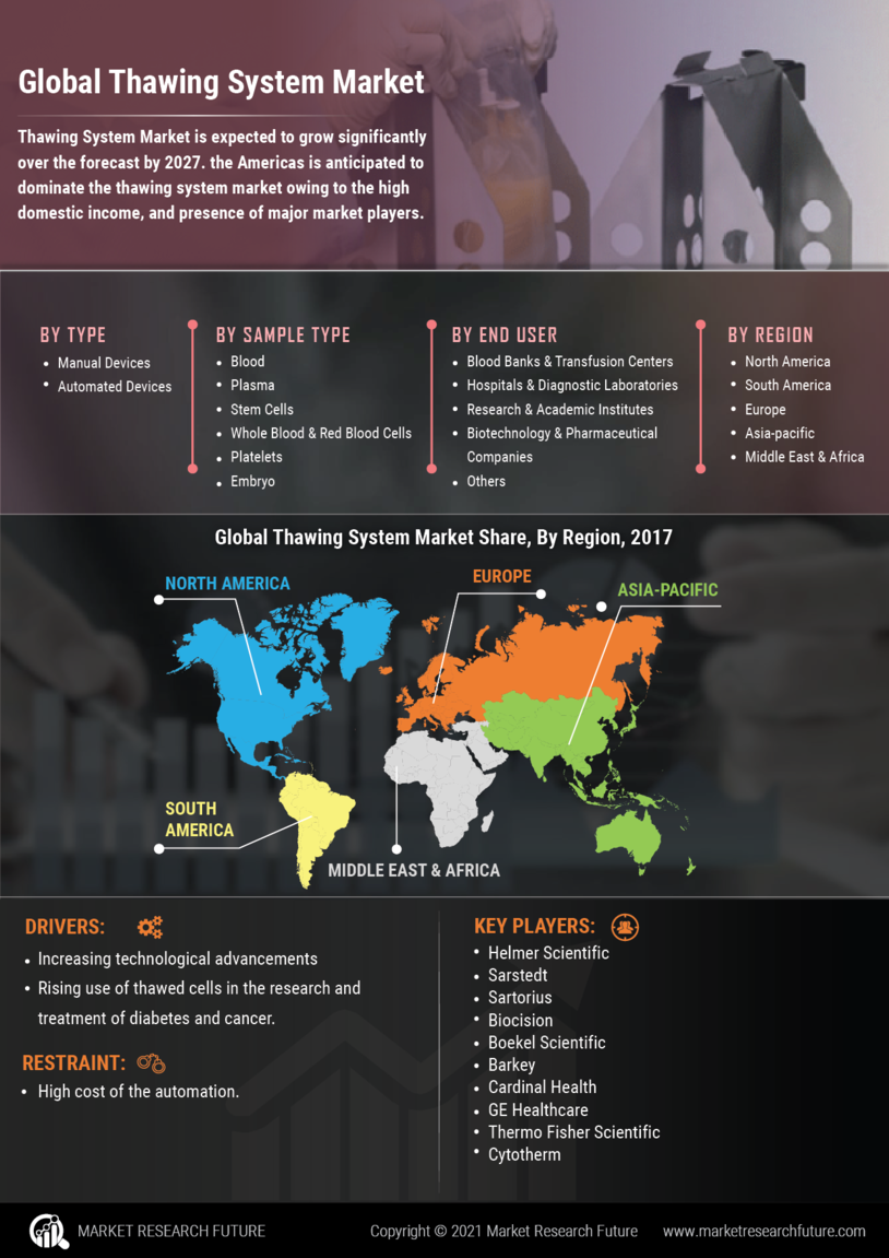 Thawing System Market