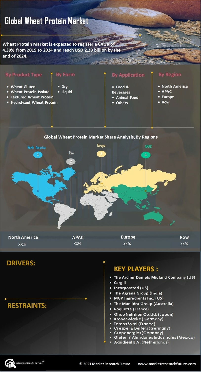 Wheat Protein Market