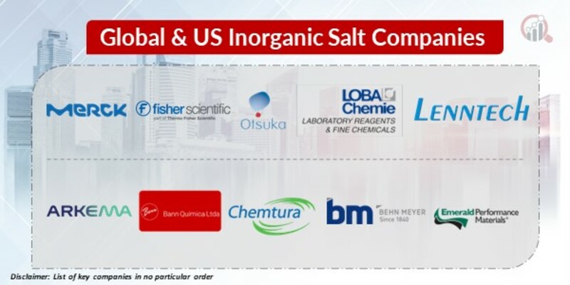 Global & US Inorganic Salt Key Companies