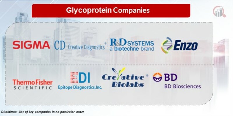 Glycoprotein Key Players