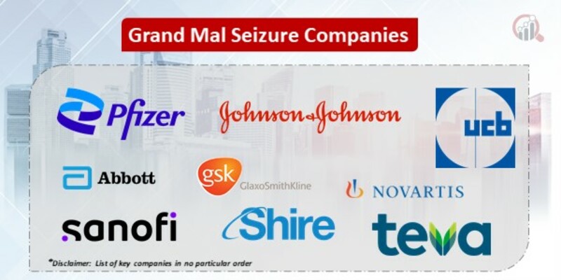 Grand Mal Seizure Key Companies
