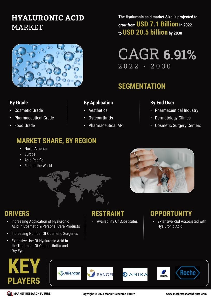 Hyaluronic Acid Market 