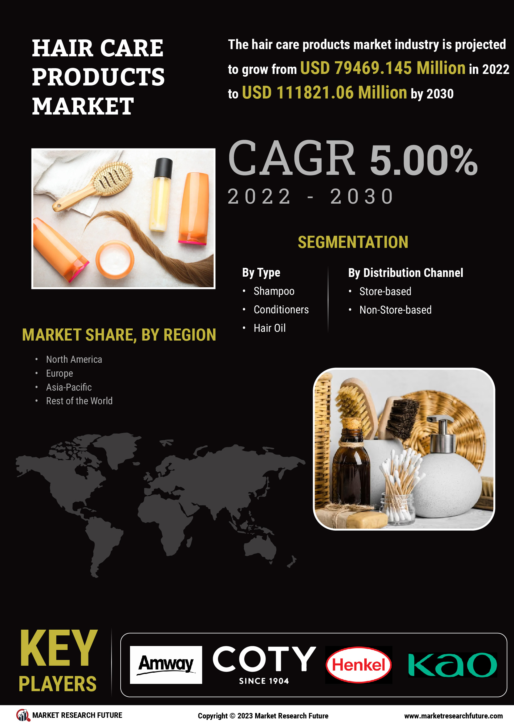 Hair Care Products Market