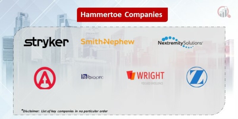 Hammertoe  Key Companies
