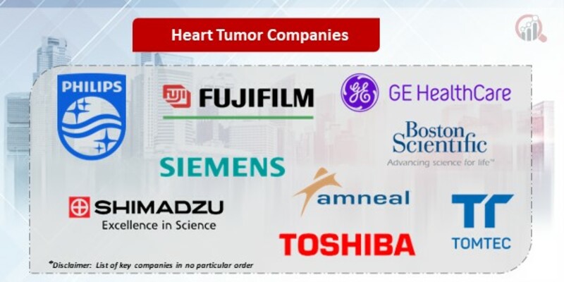 Heart Tumor  Key Companies