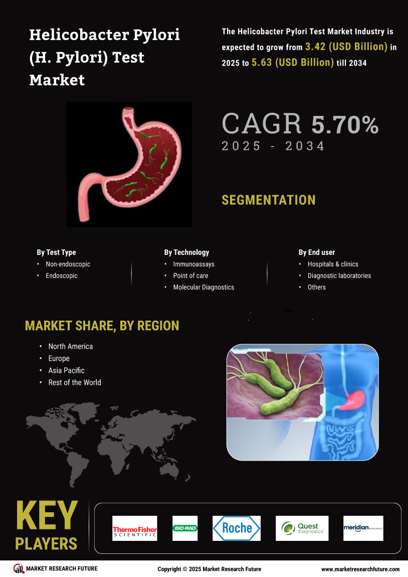 Helicobacter Pylori Test Market