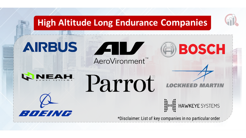 High Altitude Long Endurance  companies 