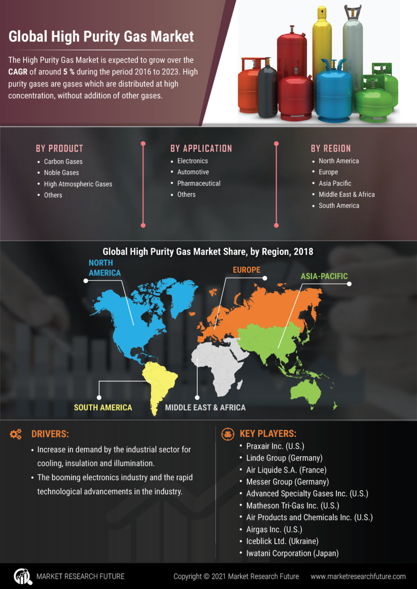 High Purity Gas Market