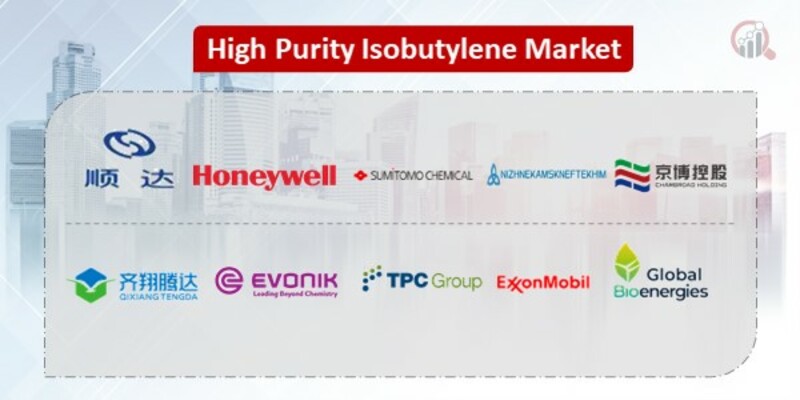 High Purity Isobutylene Key Companies 
