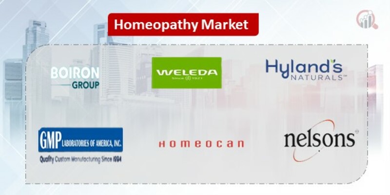 Homeopathy  Key Companies