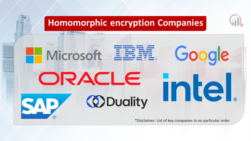 Homomorphic encryption Companies