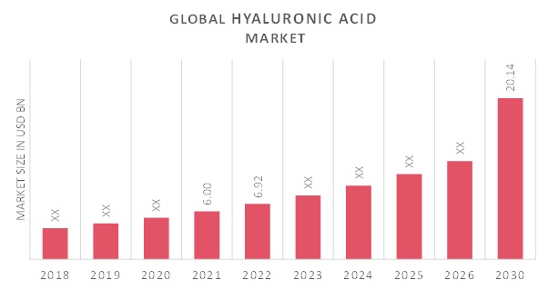 Hyaluronic Acid Market Overview