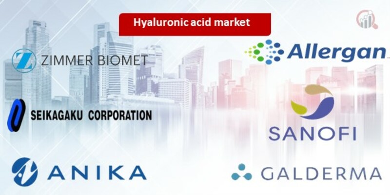Hyaluronic acid key companies
