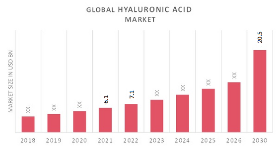 Hyaluronic Acid Market Overview