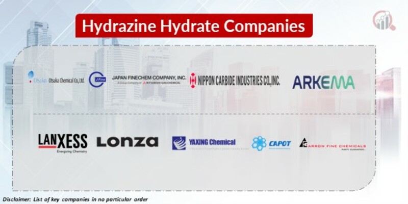 Hydrazine Hydrate Key Companies