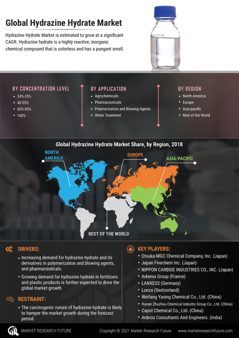 Hydrazine Hydrate Market