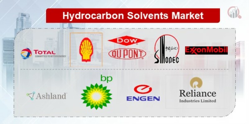 Hydrocarbon Solvents Key Companies 