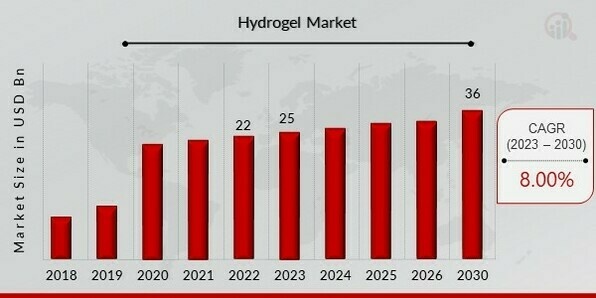 Hydrogel Market Overview