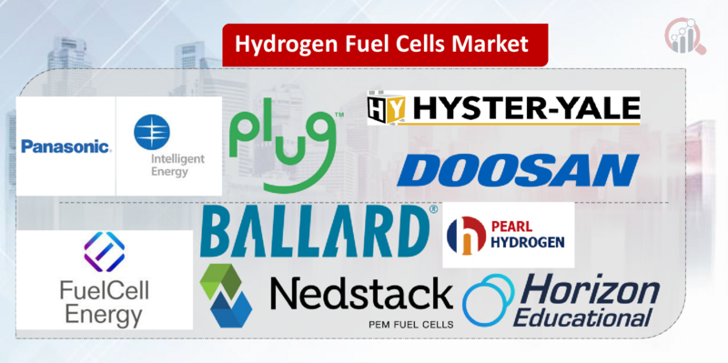 Hydrogen Fuel Cells key company