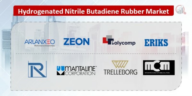 Hydrogenated Nitrile Butadiene Rubber Key Companies 