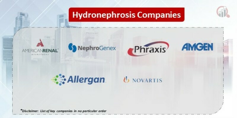 Hydronephrosis Market