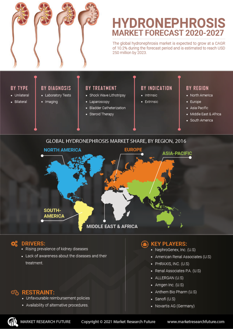 Hydronephrosis Market