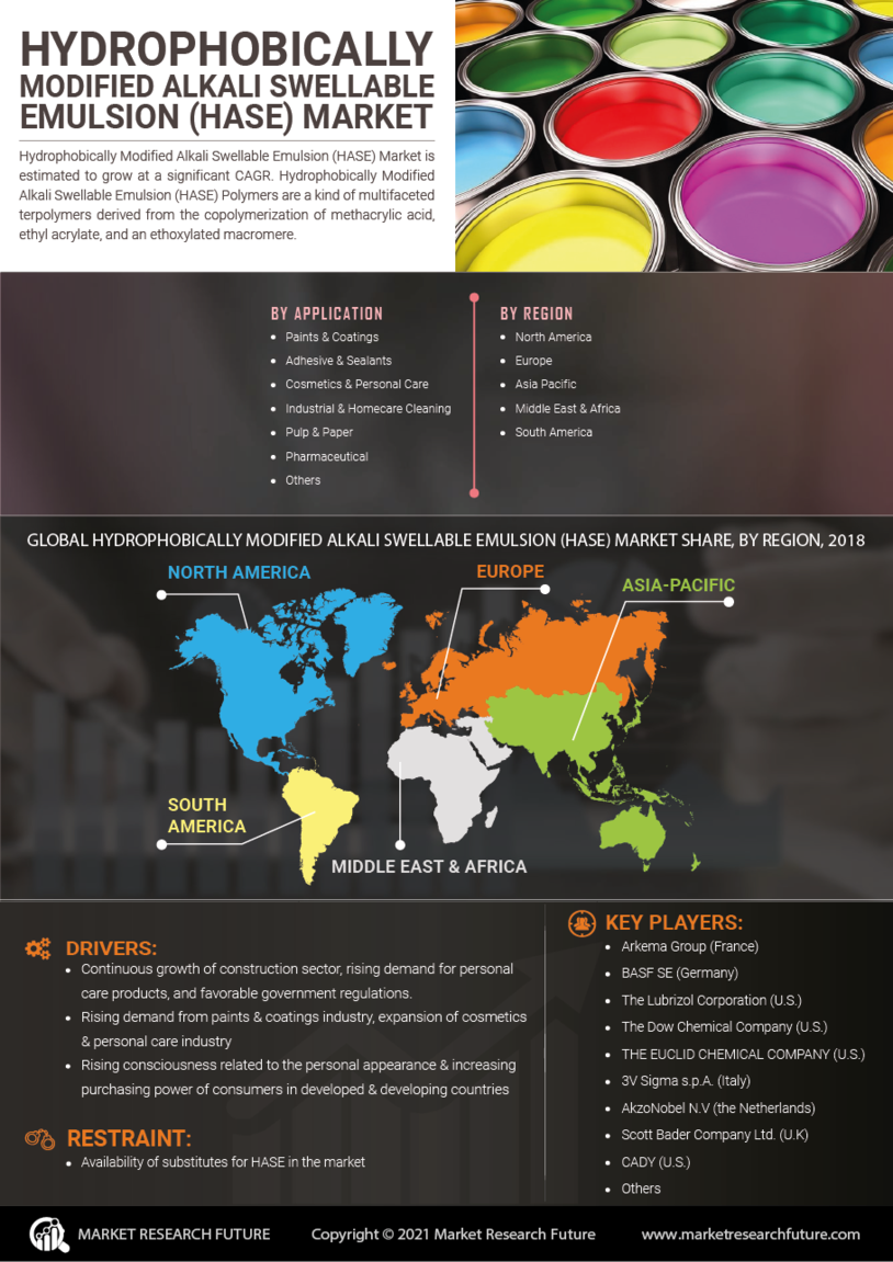 Hydrophobically Modified Alkali Swellable Emulsion Market