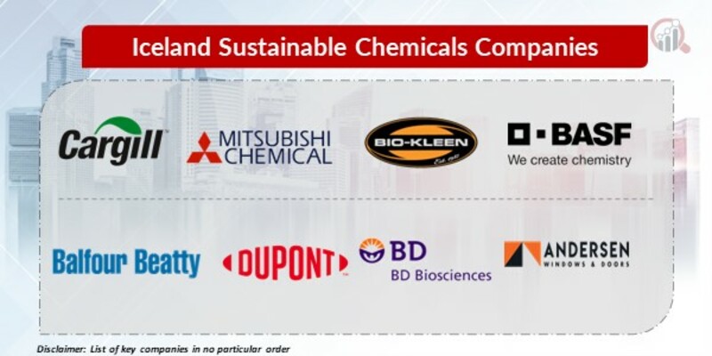 Iceland Sustainable Chemicals Key Companies