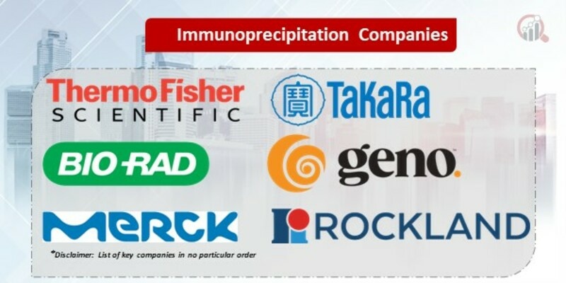 Immunoprecipitation Market 