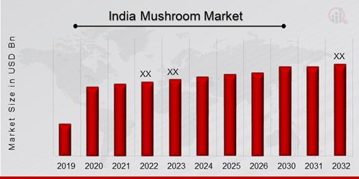 India Mushroom Market Overview