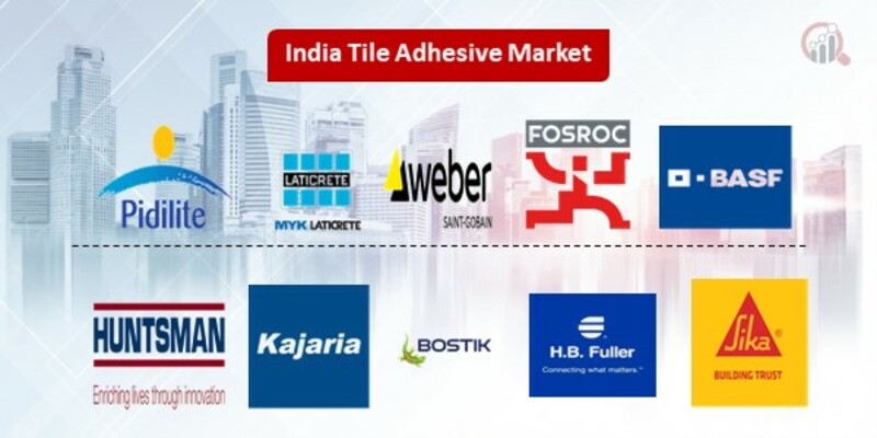 India Tile Adhesive Key Companies