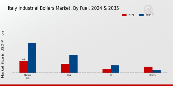 Industrial Boilers Market Fuel Insights